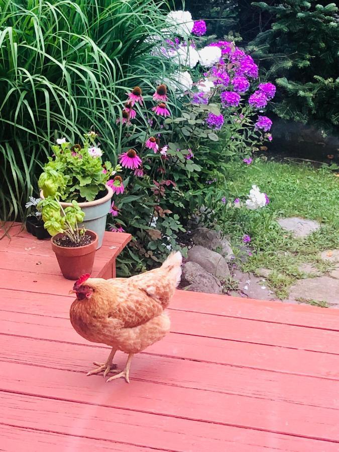 The Bella Ella Bed And Breakfast Canandaigua Luaran gambar